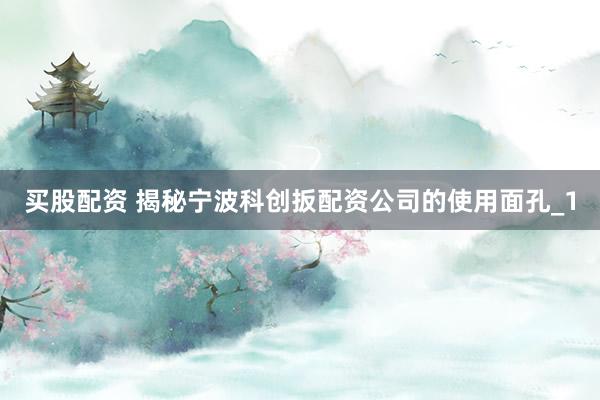 买股配资 揭秘宁波科创扳配资公司的使用面孔_1