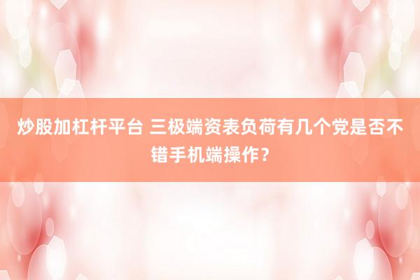 炒股加杠杆平台 三极端资表负荷有几个党是否不错手机端操作？