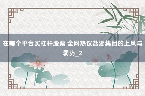 在哪个平台买杠杆股票 全网热议盐湖集团的上风与弱势_2