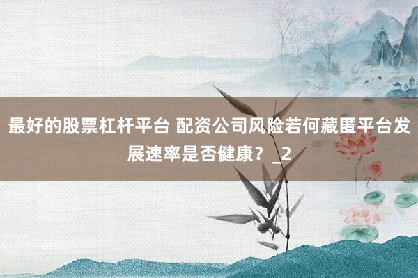 最好的股票杠杆平台 配资公司风险若何藏匿平台发展速率是否健康？_2
