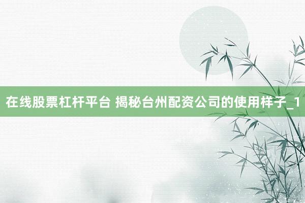 在线股票杠杆平台 揭秘台州配资公司的使用样子_1